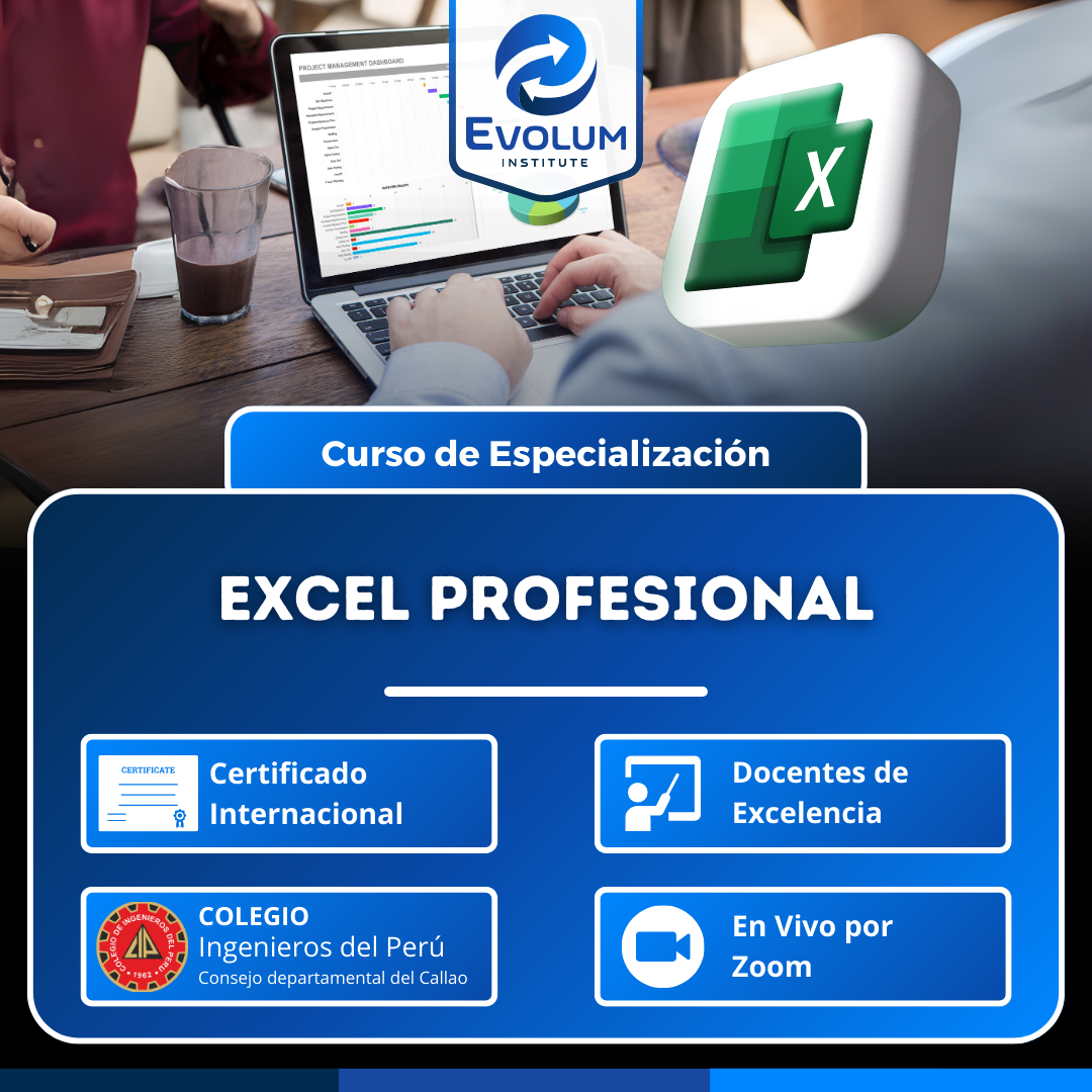 Excel Profesional